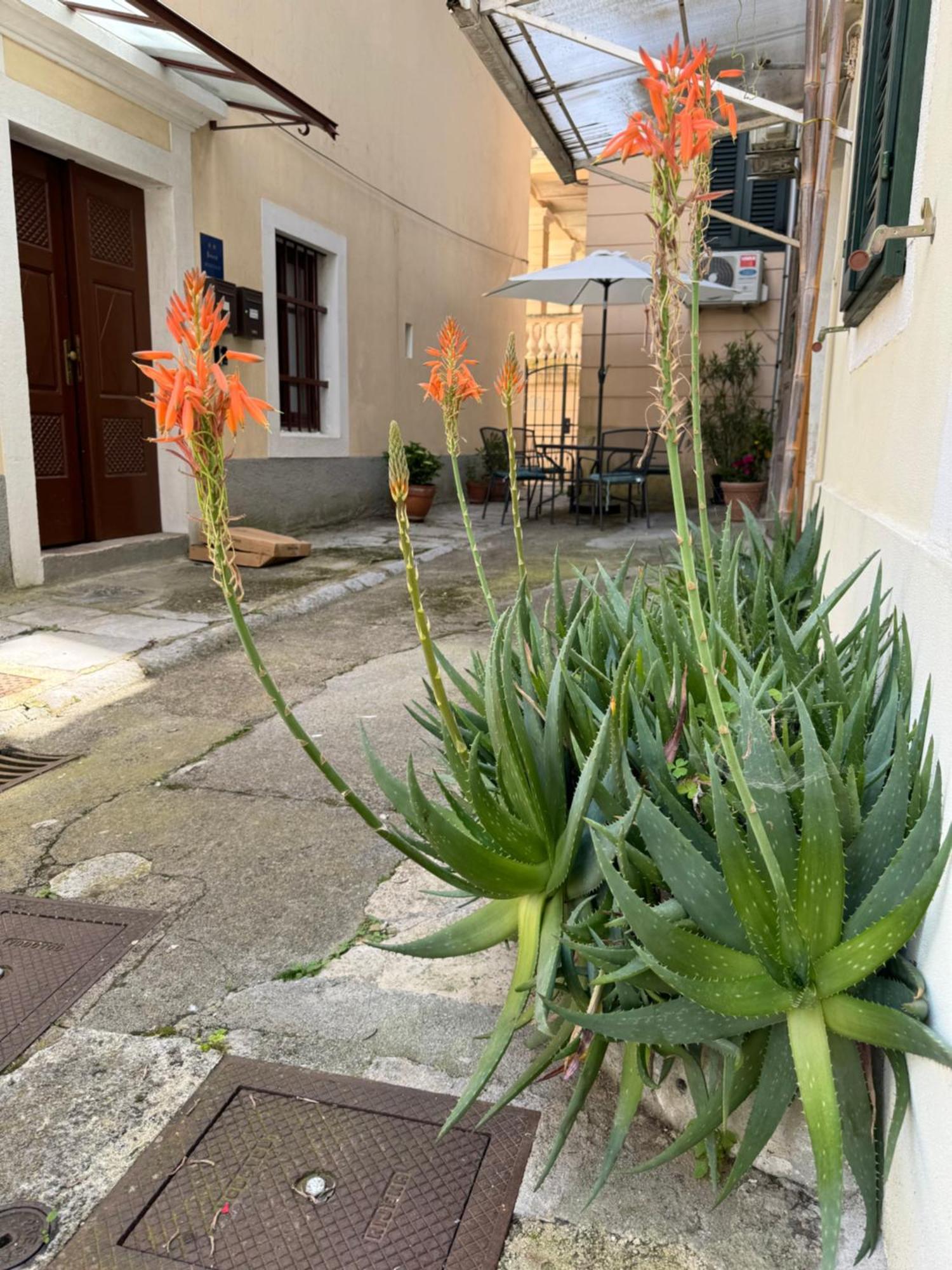 Apartment Mirna - What You See Is What You Get Abbazia Esterno foto